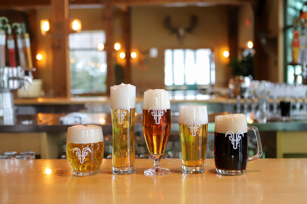 row of glasses of beers
