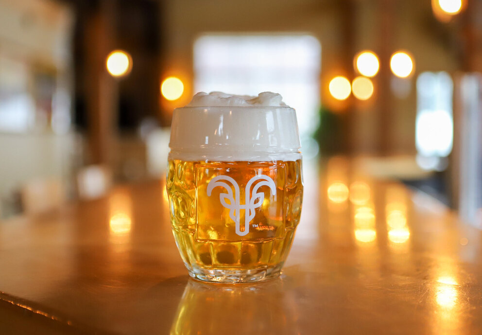 glass of pilsner on bar