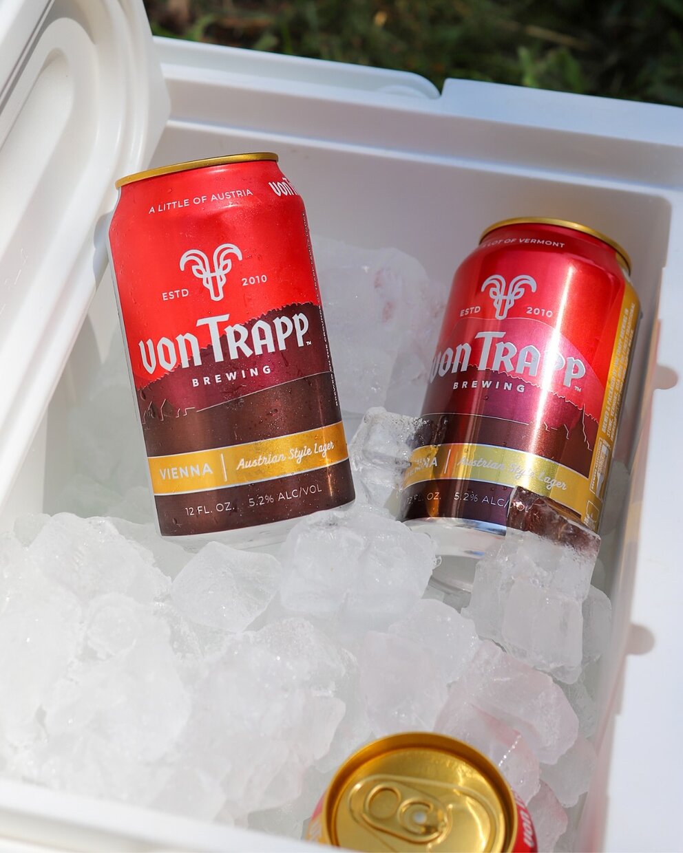 two cans of beer in ice